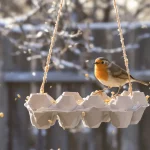 Ne jetez plus vos vieilles boîtes d’œufs : elles attirent les oiseaux au jardin tout l’hiver